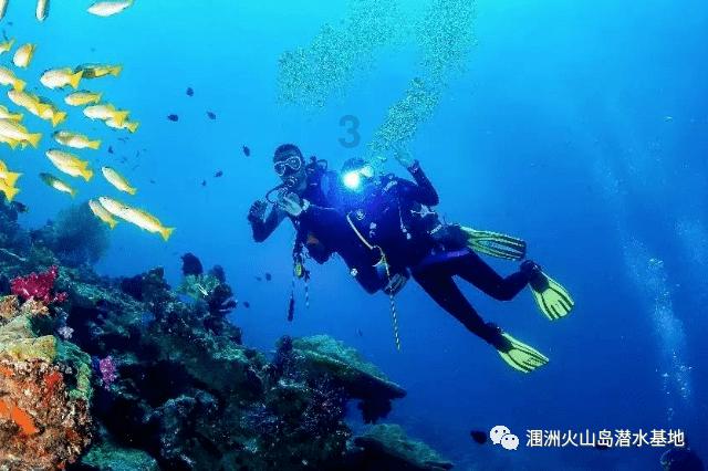 天下有没有免费的午餐?游戏画面